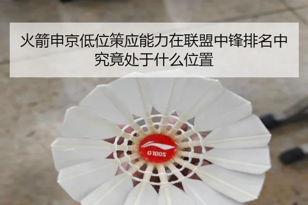 火箭申京低位策应能力在联盟中锋排名中究竟处于什么位置