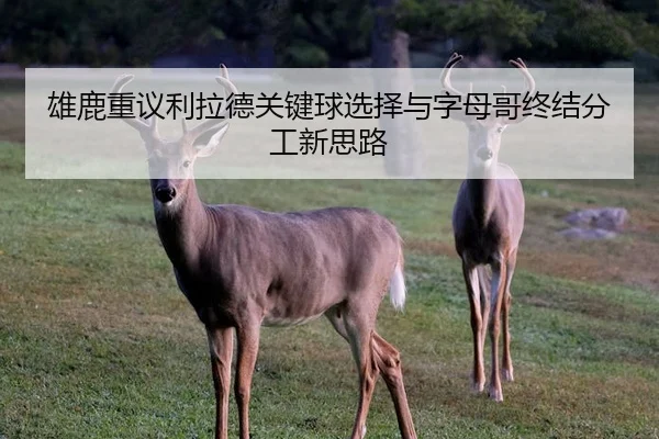 雄鹿重议利拉德关键球选择与字母哥终结分工新思路